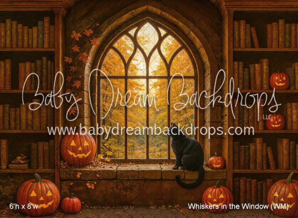 Whiskers in the Window (WM)