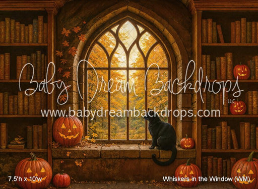 Whiskers in the Window (WM)