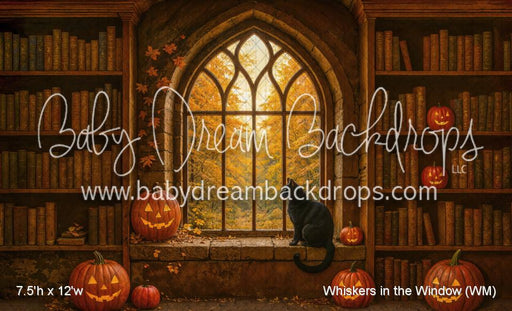 Whiskers in the Window (WM)