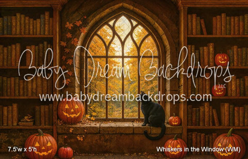 Whiskers in the Window (WM)