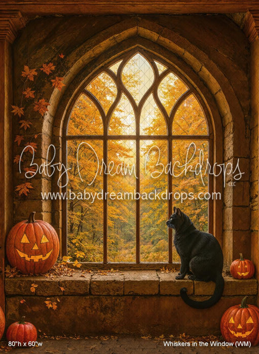 Whiskers in the Window (WM)