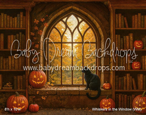 Whiskers in the Window (WM)