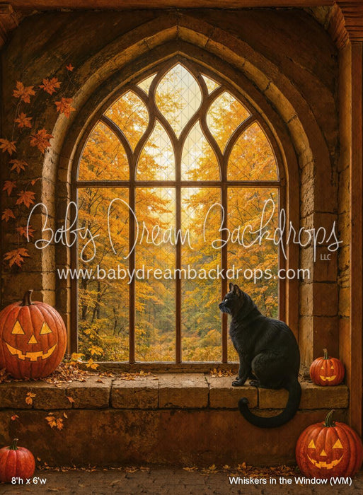 Whiskers in the Window (WM)