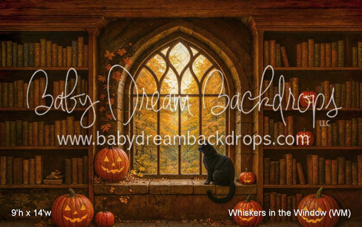 Whiskers in the Window (WM)