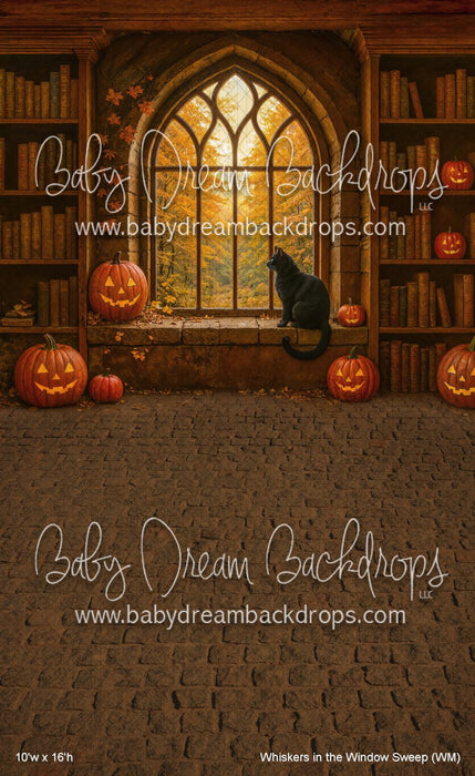 Whiskers in the Window Sweep (WM)