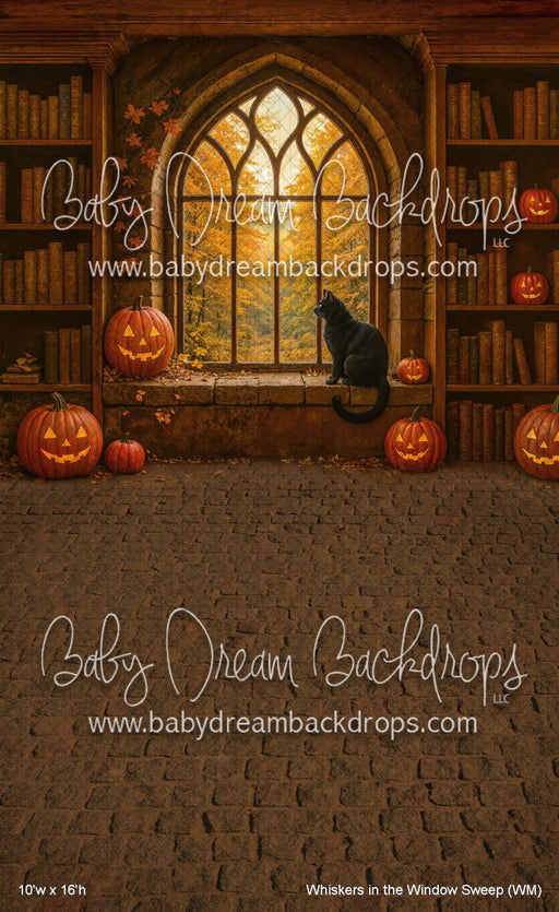 Whiskers in the Window Sweep (WM)