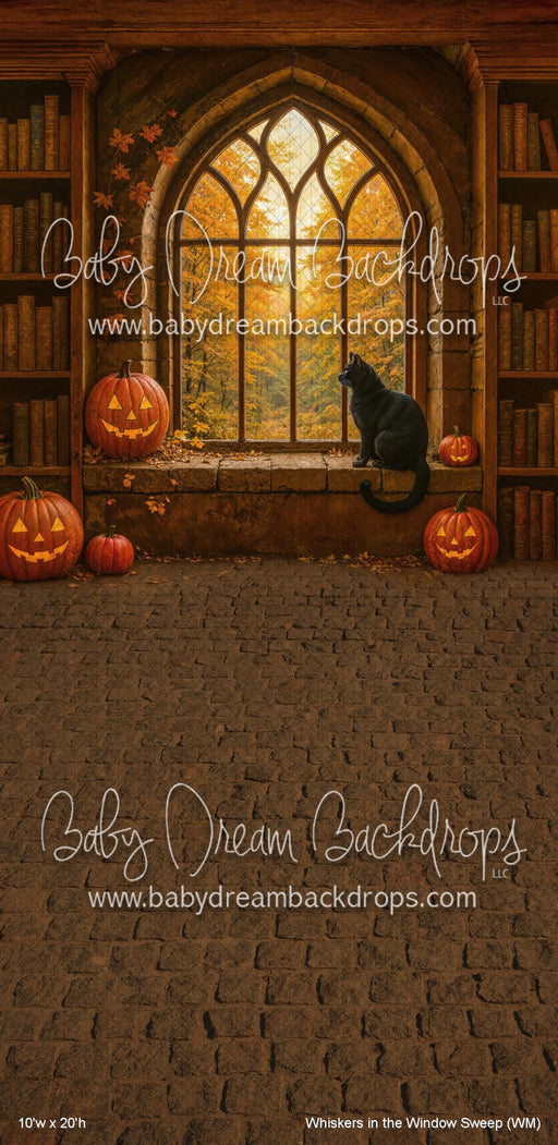 Whiskers in the Window Sweep (WM)