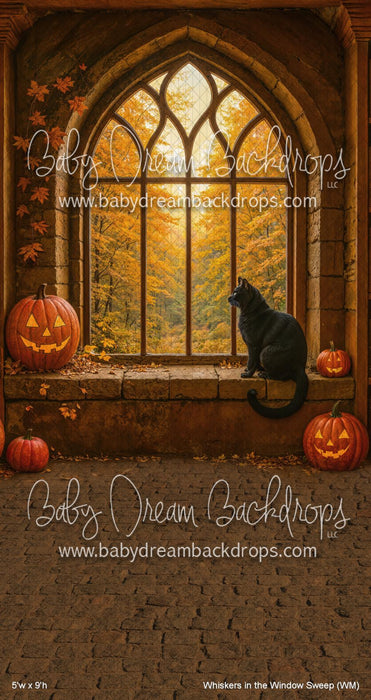 Whiskers in the Window Sweep (WM)