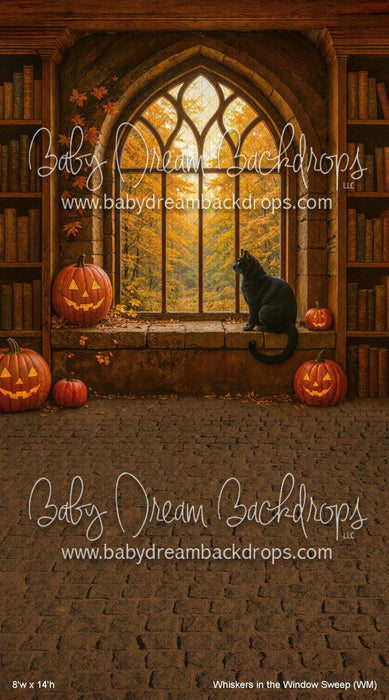 Whiskers in the Window Sweep (WM)