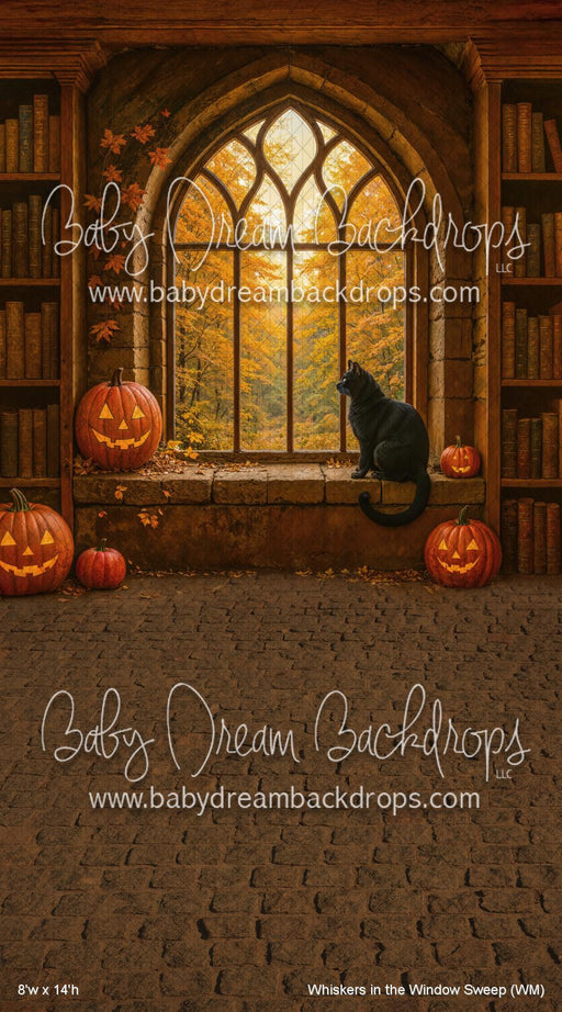 Whiskers in the Window Sweep (WM)