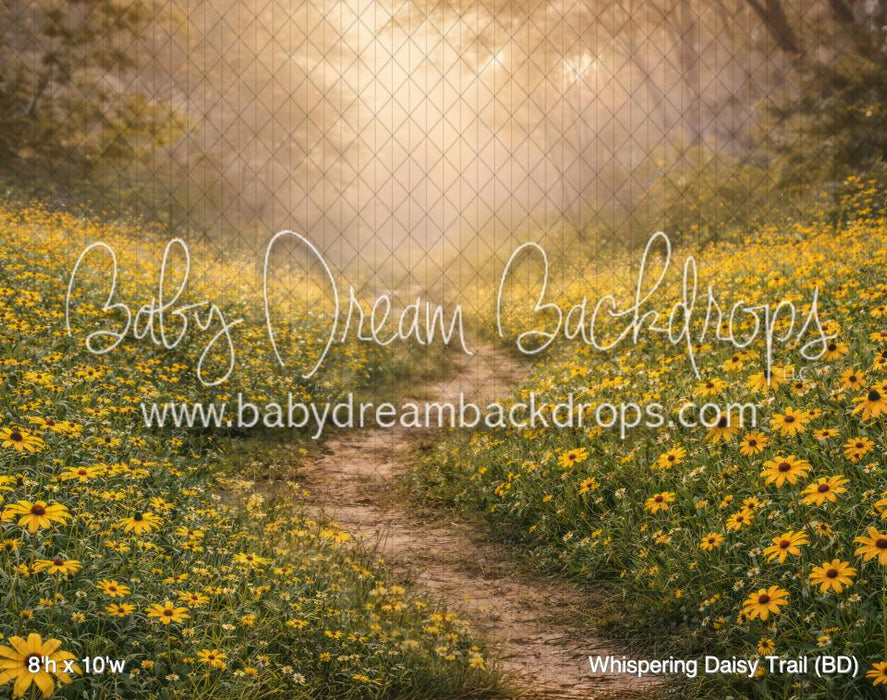 Whispering Daisy Trail (BD)