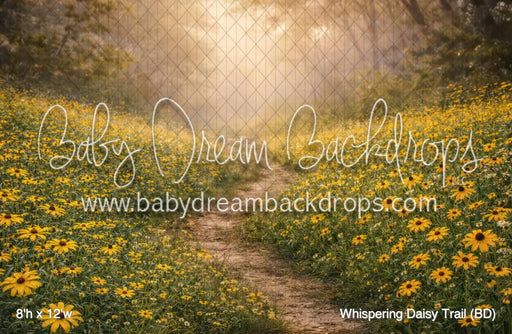 Whispering Daisy Trail (BD)
