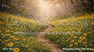 Whispering Daisy Trail (BD)