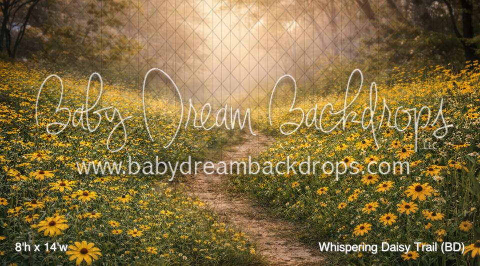 Whispering Daisy Trail (BD)