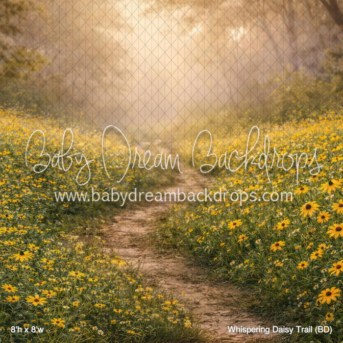 Whispering Daisy Trail (BD)