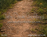 Whispering Daisy Trail Floor (BD)