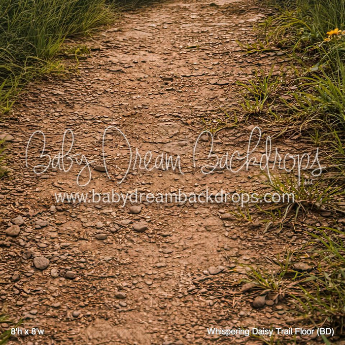 Whispering Daisy Trail Floor (BD)