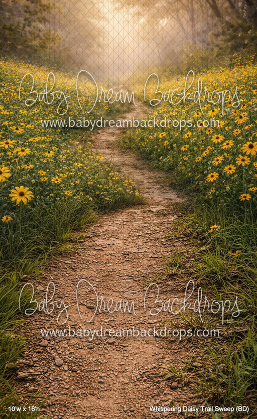 Whispering Daisy Trail Sweep (BD)