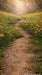 Whispering Daisy Trail Sweep (BD)