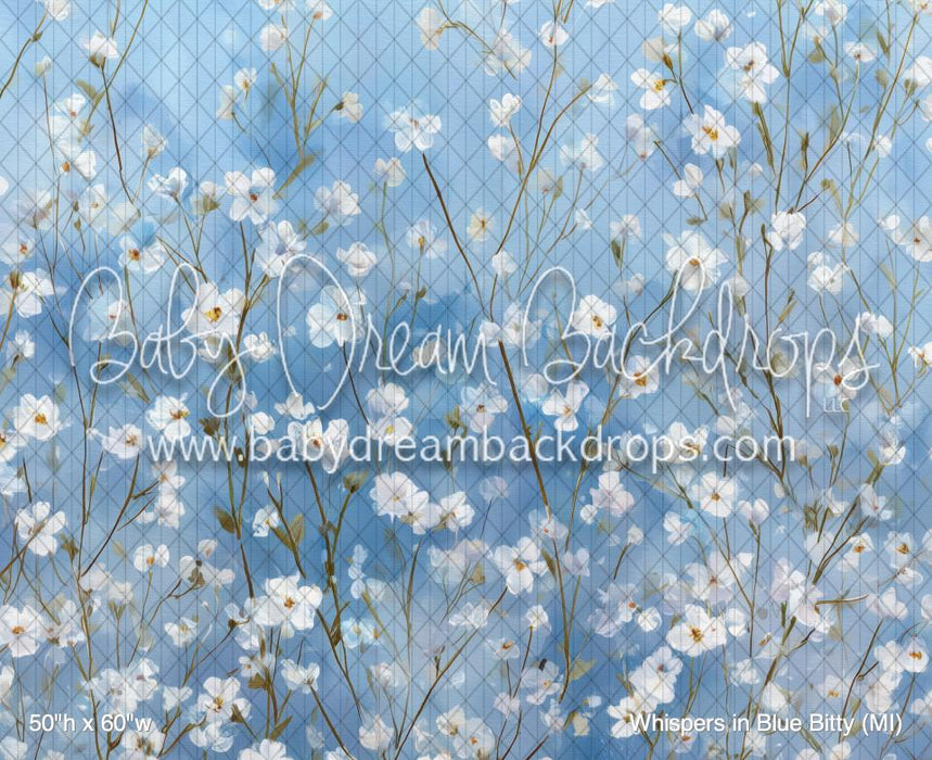 Whispers in Blue Bitty (MI)