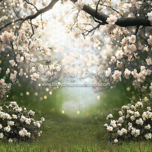 White Blossom Gateway (JA)