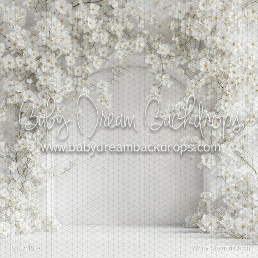 White Clamatis Arch (WM)