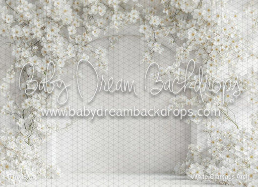 White Clamatis Arch (WM)