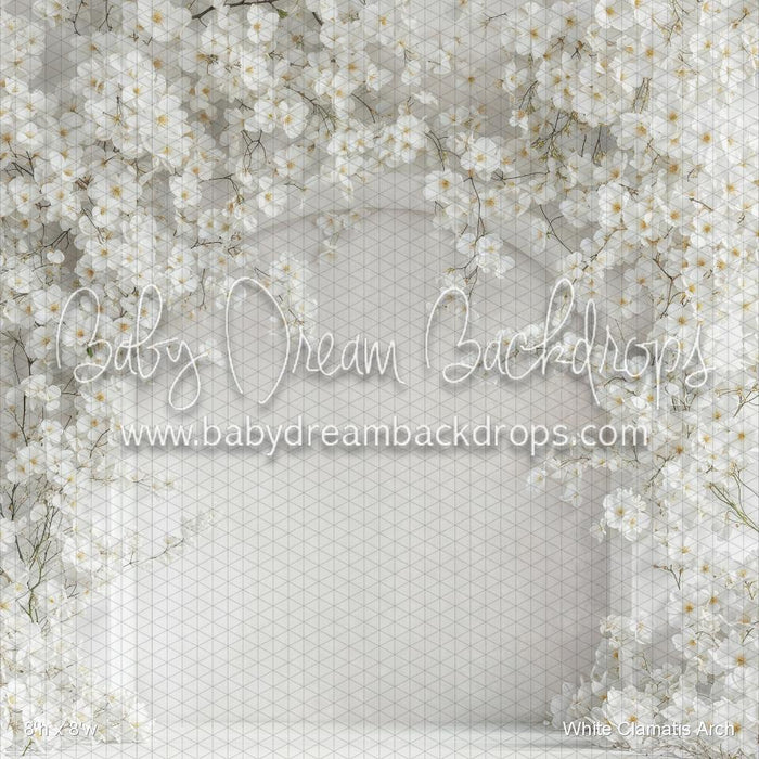 White Clamatis Arch (WM)