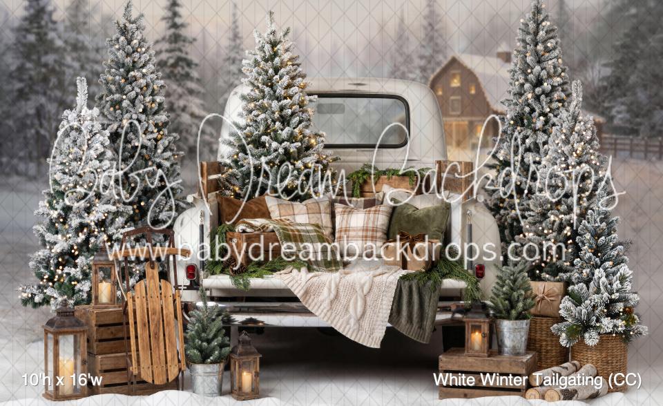 White Winter Tailgating (CC)