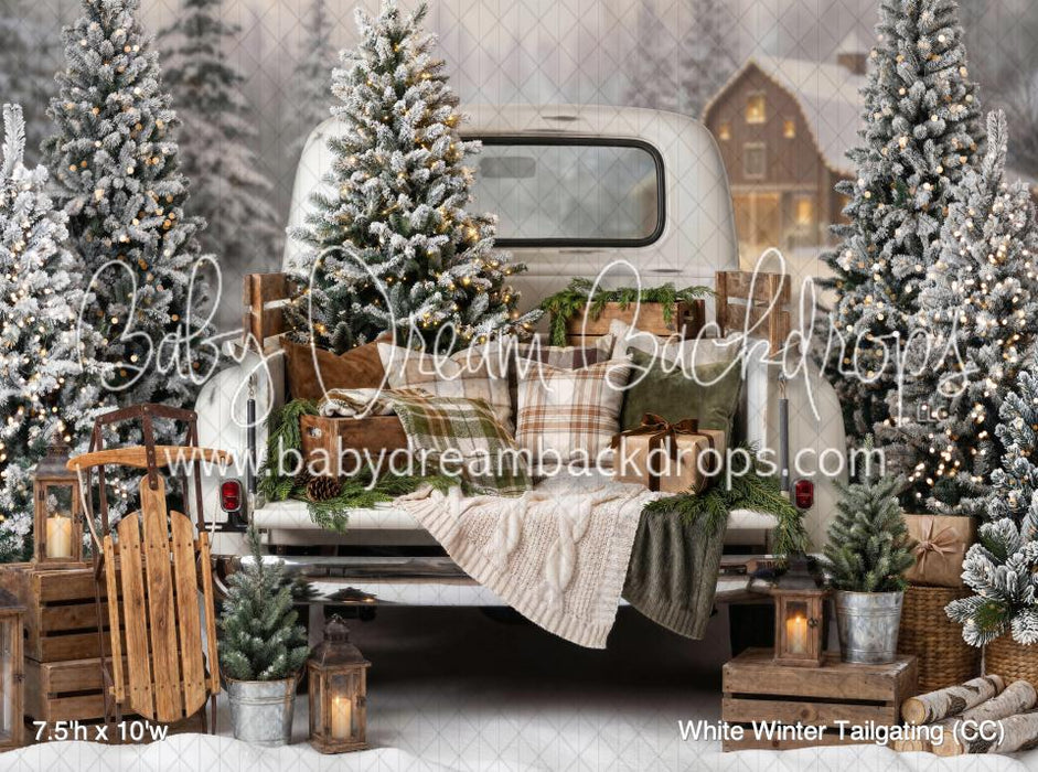 White Winter Tailgating (CC)