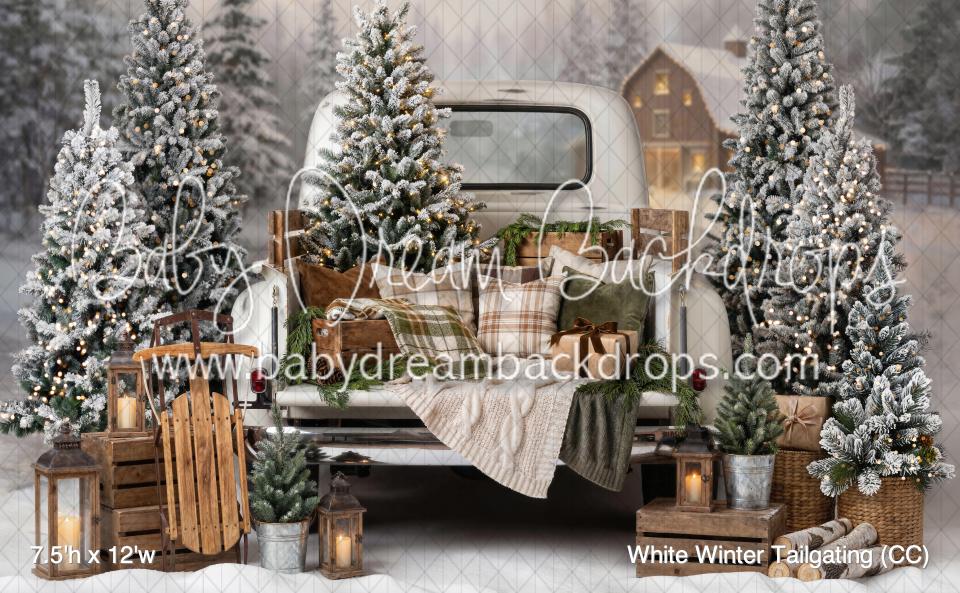 White Winter Tailgating (CC)