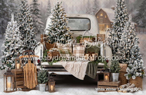 White Winter Tailgating (CC)