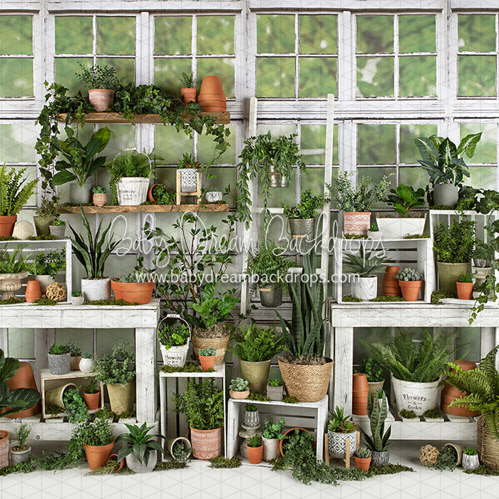 White Washed Green House (JA)