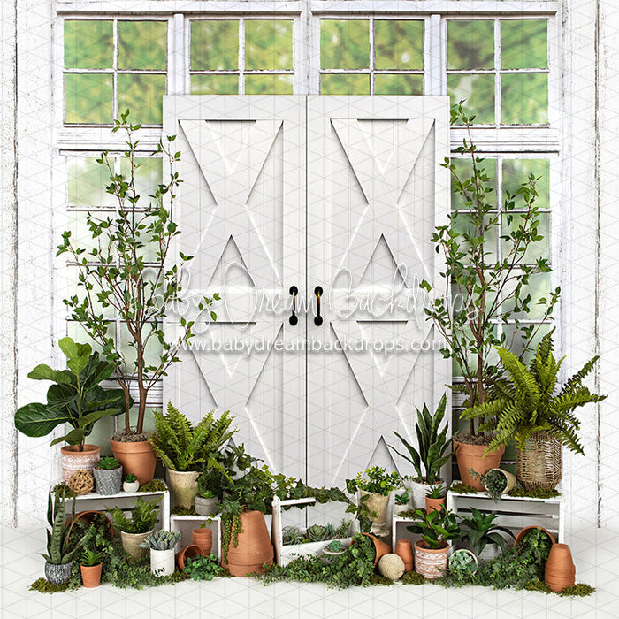 White Washed Green House Door