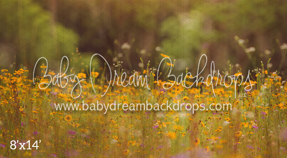 Wild Flower Field (BD)