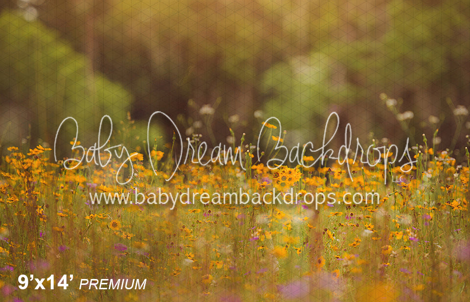 Wild Flower Field (BD)