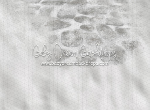 Window Shopping Cobblestone (CC)