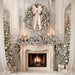 Winter Dreamer Fireplace (CC)