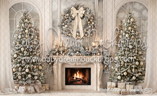 Winter Dreamer Fireplace (CC)