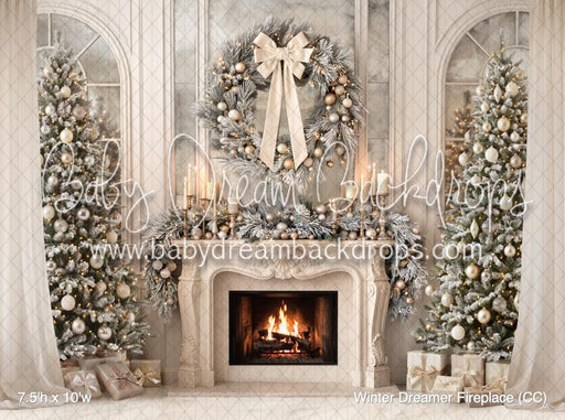 Winter Dreamer Fireplace (CC)