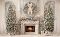 Winter Dreamer Fireplace (CC)