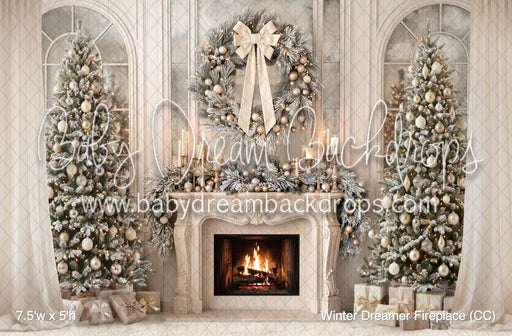 Winter Dreamer Fireplace (CC)