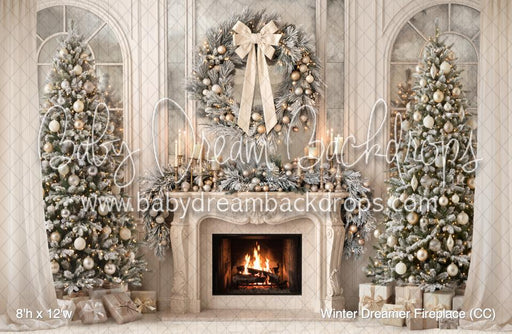 Winter Dreamer Fireplace (CC)