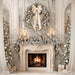 Winter Dreamer Fireplace (CC)
