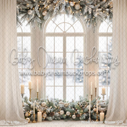 Winter Dreamer Window (CC)
