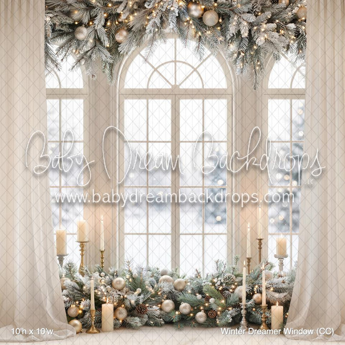 Winter Dreamer Window (CC)