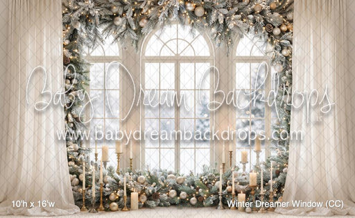 Winter Dreamer Window (CC)