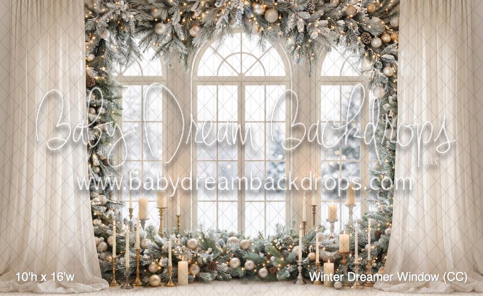 Winter Dreamer Window (CC)