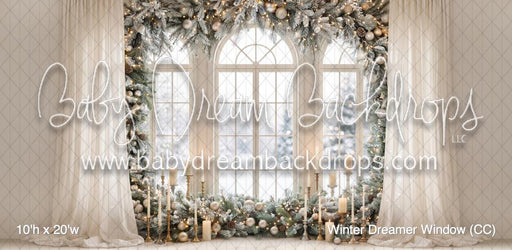 Winter Dreamer Window (CC)