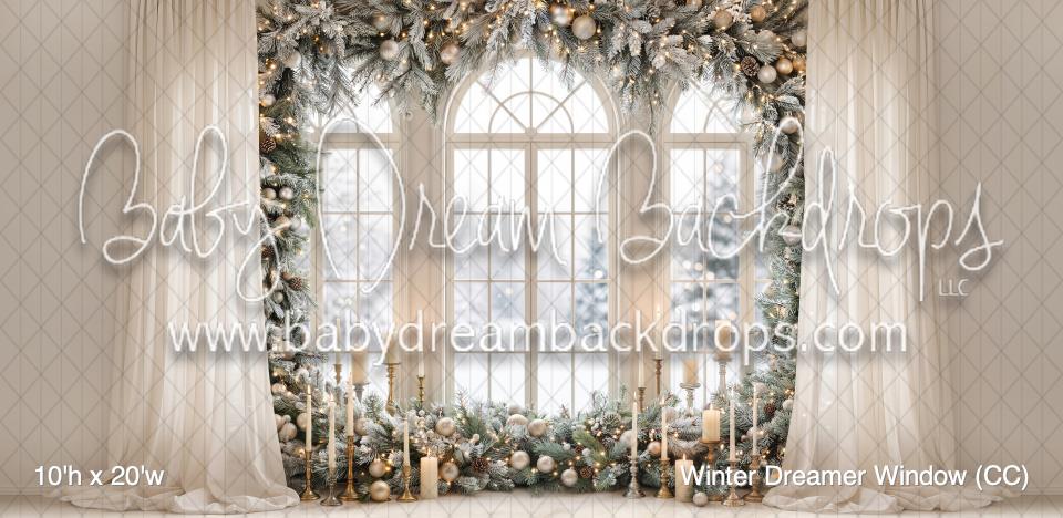 Winter Dreamer Window (CC)